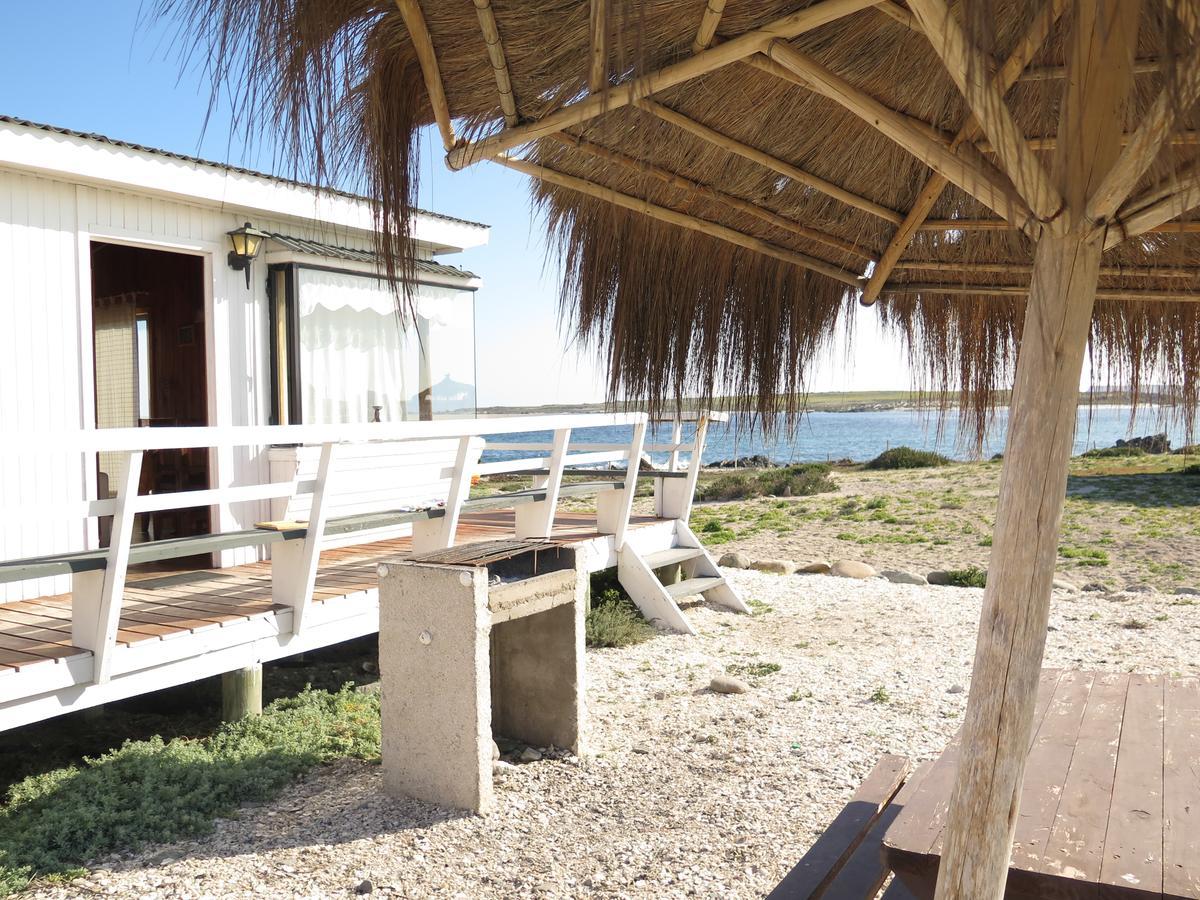 Refugio Humboldt Villa Punta de Choros Esterno foto